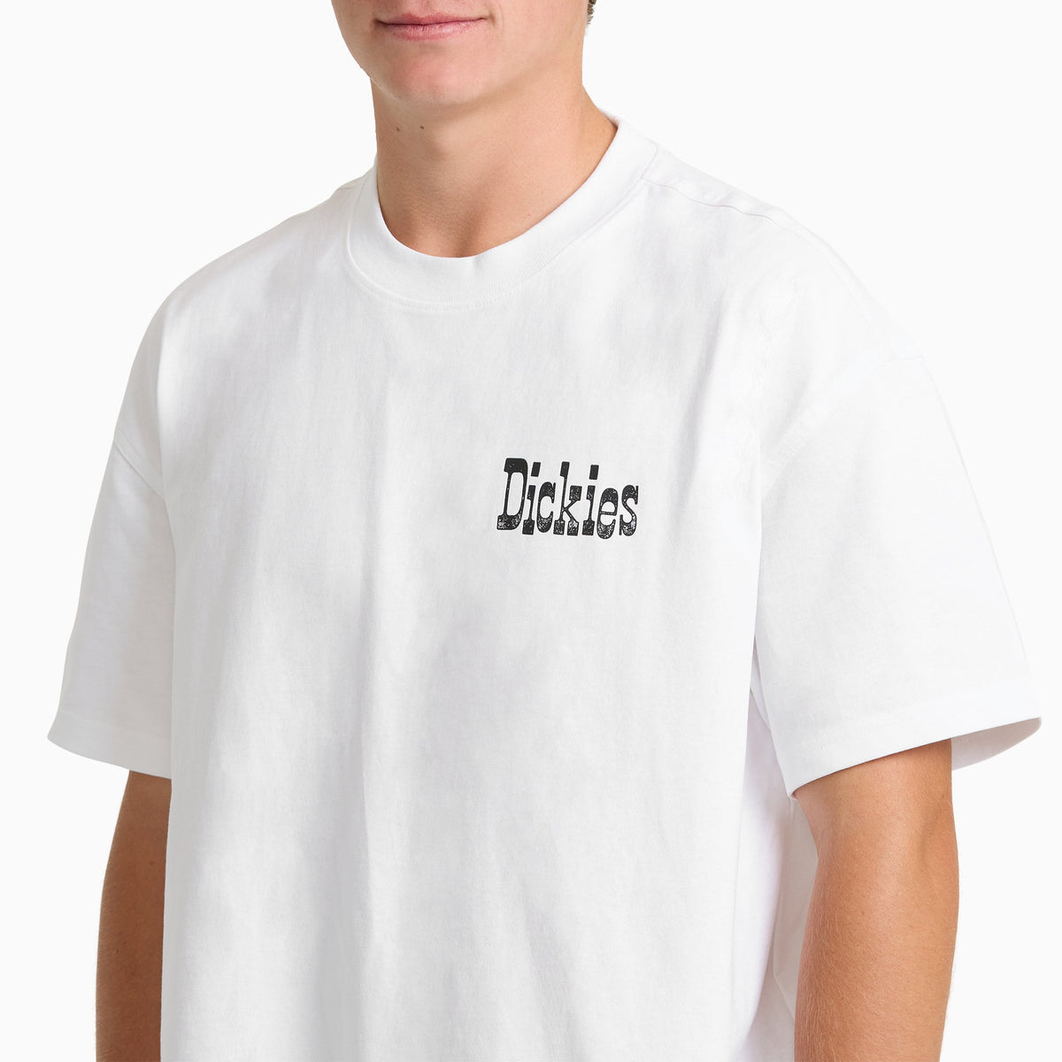 Dickies Polk Short Sleeve Graphic T-Shirt - White (0WH)
