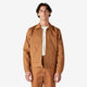 Brown Duck (WSD)