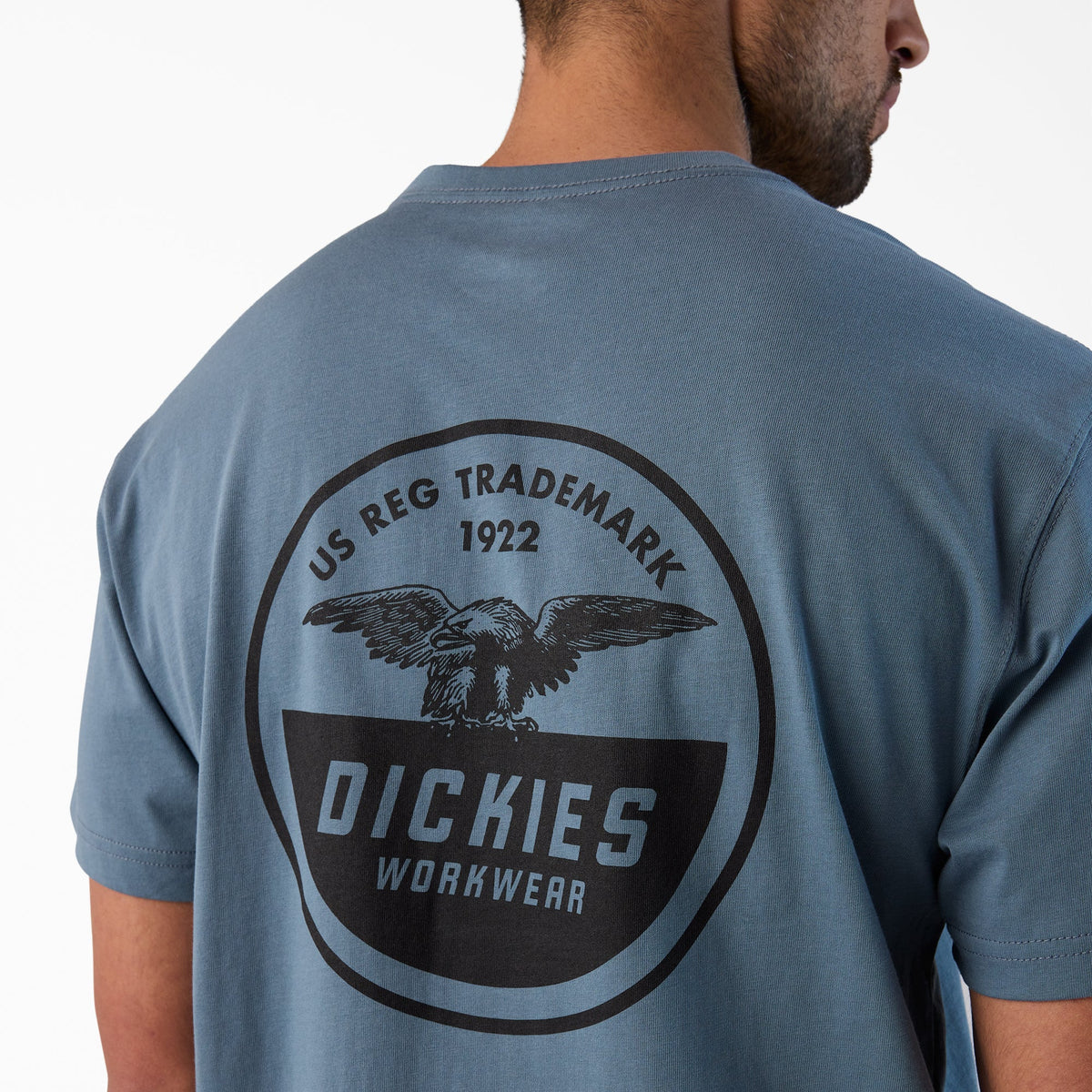 Dickies Eagle Graphic T-Shirt - Stormy Weather (G70)