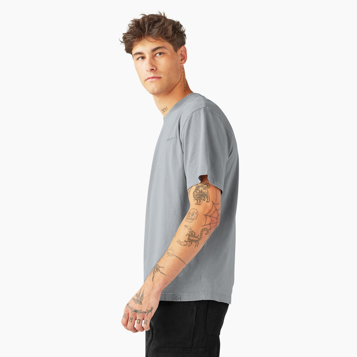 Dickies Plentywood Short Sleeve T-Shirt - Ultimate Gray (D06)