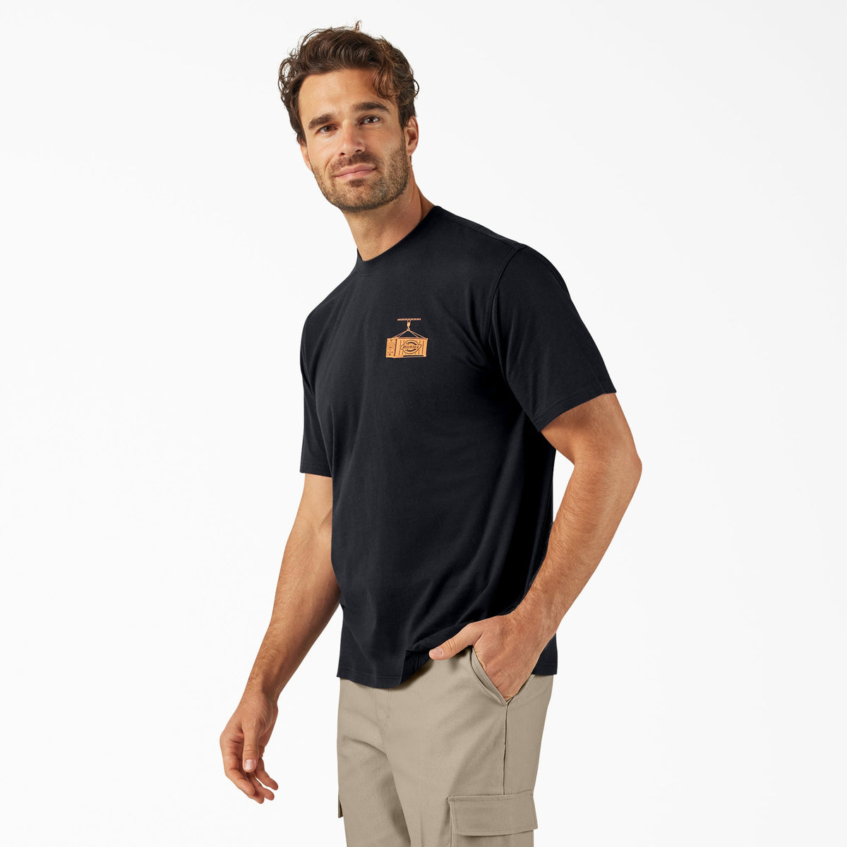 Dickies Apison Graphic T-Shirt - Night Sky (L18)