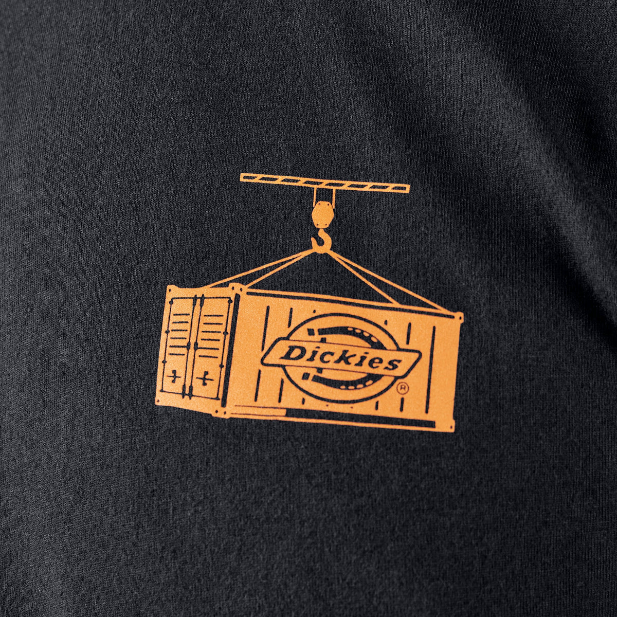 Dickies Apison Graphic T-Shirt - Night Sky (L18)