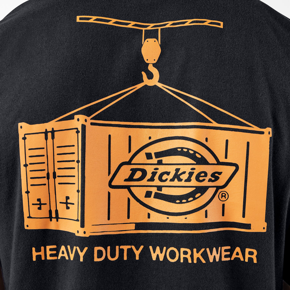 Dickies Apison Graphic T-Shirt - Night Sky (L18)