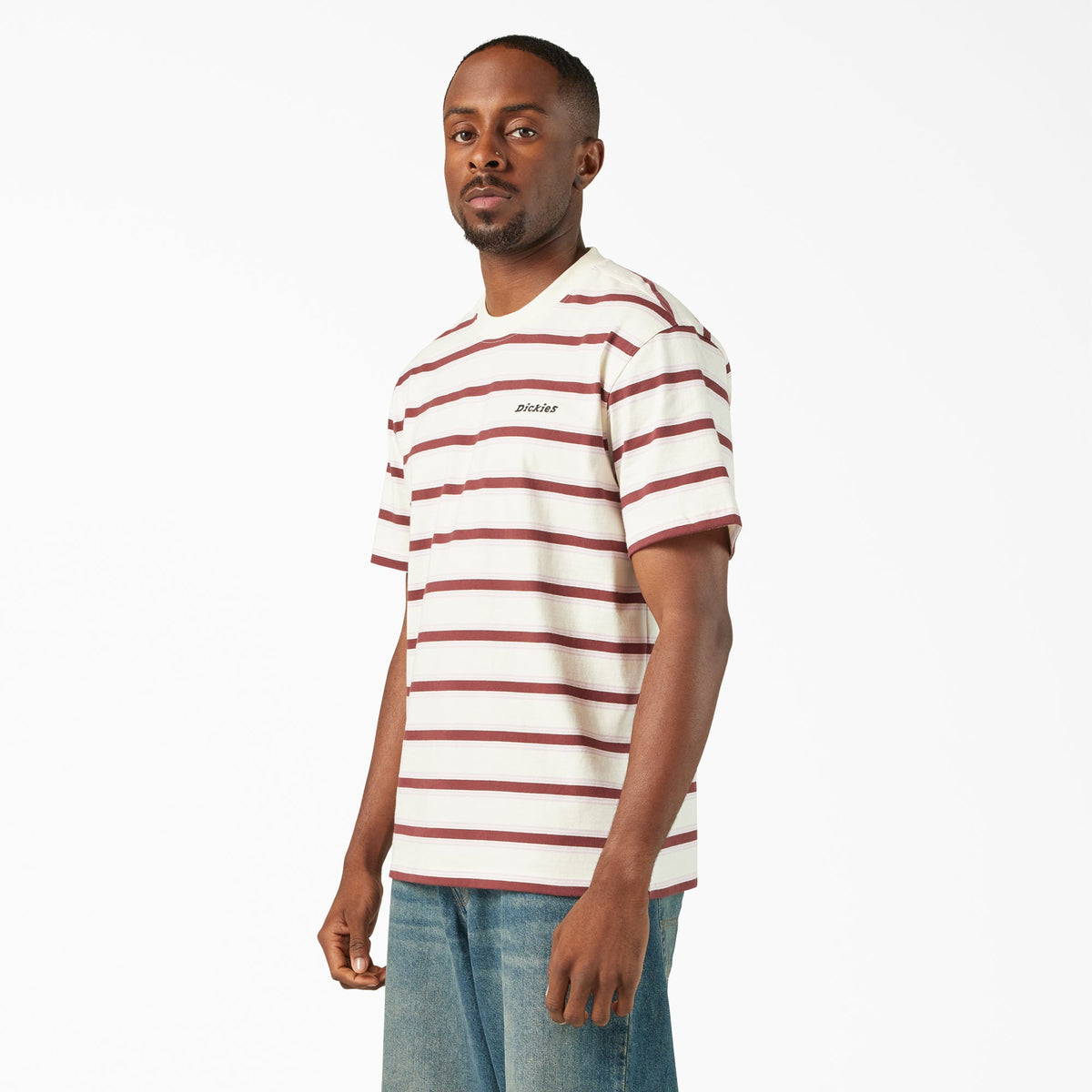 Dickies York Striped T-Shirt - Egret (C48)