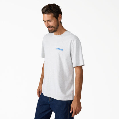 Dickies Dry Ridge Graphic T-Shirt - Light Gray (A28)