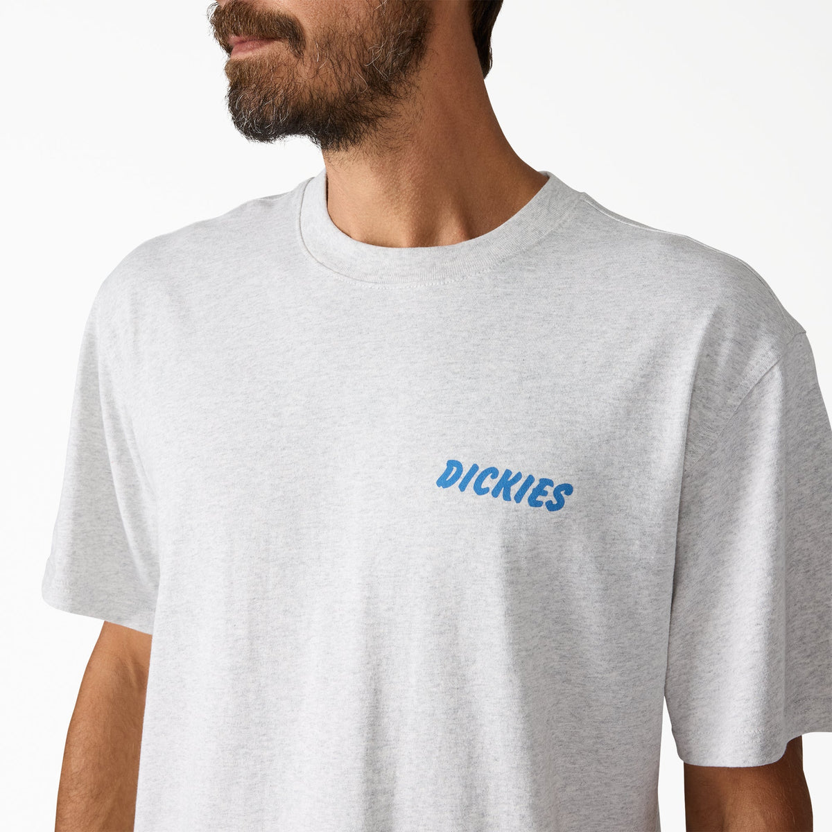 Dickies Dry Ridge Graphic T-Shirt - Light Gray (A28)