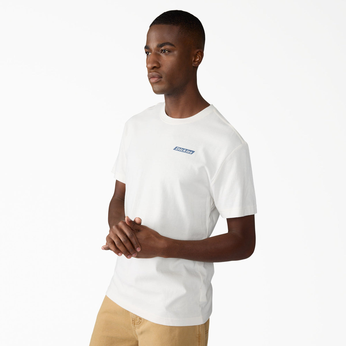 Dickies Americana Logo Fill Graphic T-Shirt - Snow White (0S2)