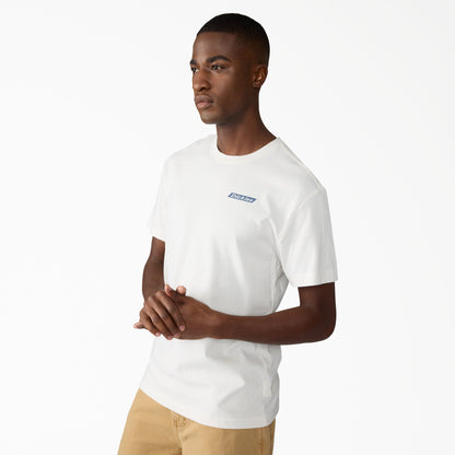 Dickies Americana Logo Fill Graphic T-Shirt - Snow White (0S2)
