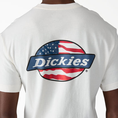 Dickies Americana Logo Fill Graphic T-Shirt - Snow White (0S2)