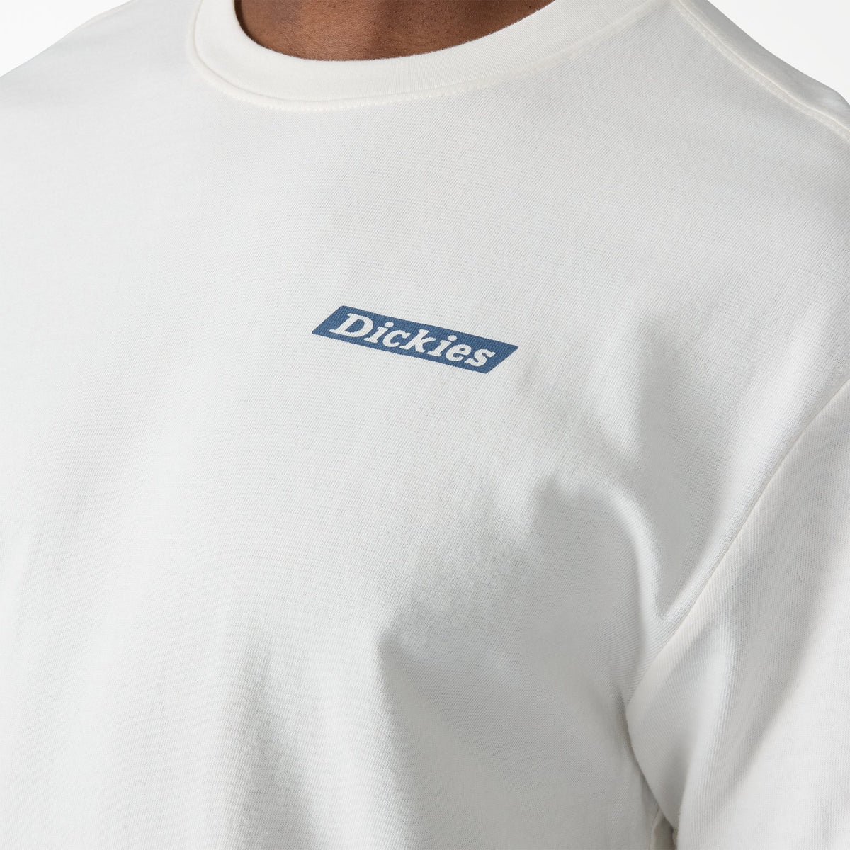 Dickies Americana Logo Fill Graphic T-Shirt - Snow White (0S2)