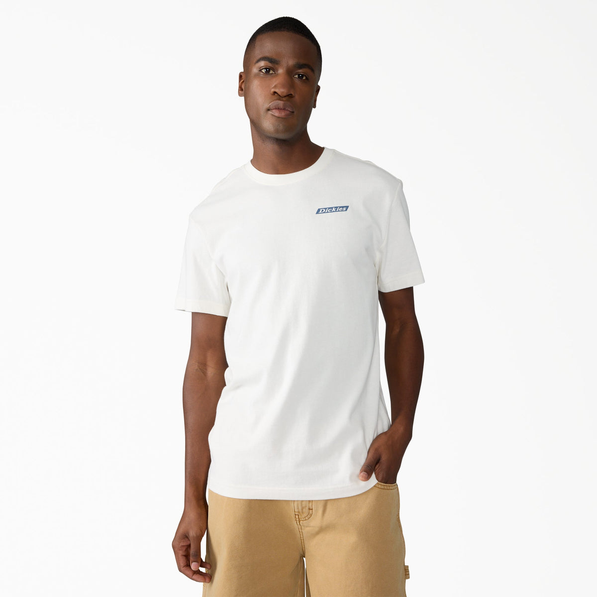 Dickies Americana Logo Fill Graphic T-Shirt - Snow White (0S2)